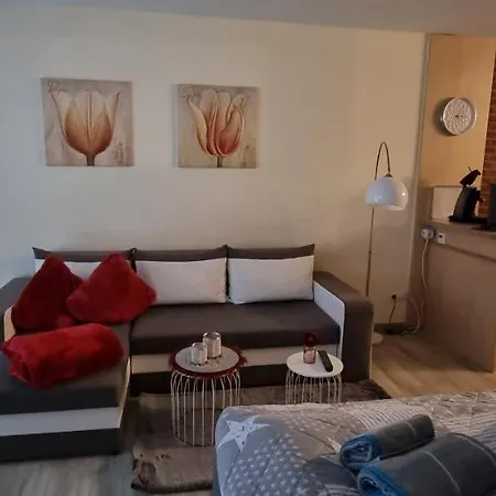 Apartament Schatzkiste *