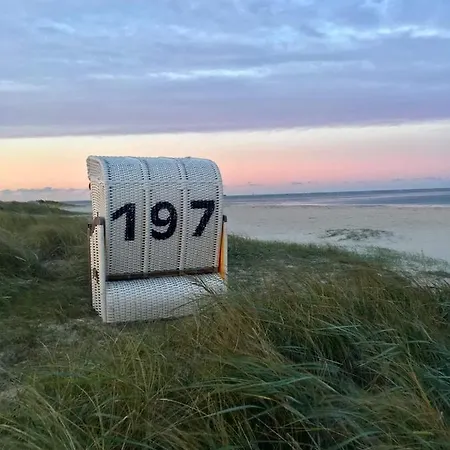 Schatzkiste * Schillig