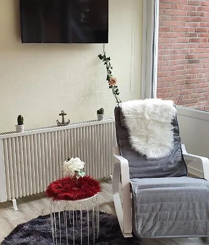 Daire Schatzkiste Schillig