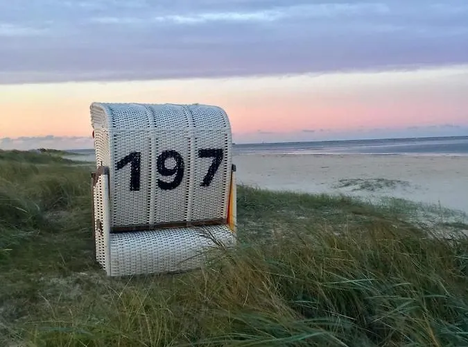 Schatzkiste * Schillig